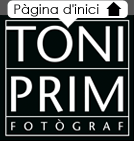 TONI PRIM