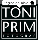 TONI PRIM