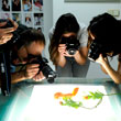 Curs de fotografia bàsica Abril-Juny 2018 TONI PRIM