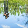 Curs de Fotografia Digital Avançada. Trimestre únic 2019 - Toni Prim