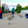 Curs de Fotografia Digital Avançada. Trimestre únic 2019 - Toni Prim