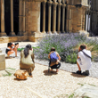 Curs de Fotografia Digital Bàsica. Segon trimestre 2019 - Toni Prim