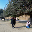 Curs de Fotografia Digital Bàsica - Primer Trimestre 2020-2021 TONI PRIM
