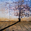 Fotografia avançada 2020 - TONI PRIM