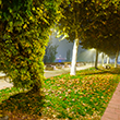 Fotografia bàsica darrer trimestre 2020 - TONI PRIM