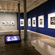 Pràctiques finals del Màster en Fotografia Professional TONI PRIM 2020-21