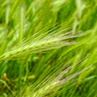 Segona part del Màster en Fotografia Professional a Lleida - TONI PRIM
